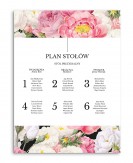 Tablica z rozmieszczeniem...